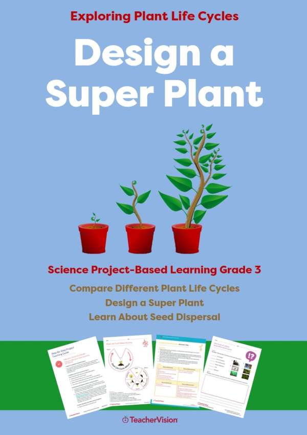 Design a Super Plant- Exploring Plant Life Cycles