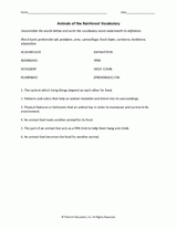 Animals of the Rainforest Worksheet