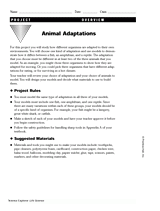Animal Adaptation Project -- Student Overview
