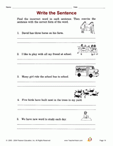Write the Sentence