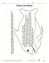 Shamu the Whale