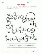 Paw Prints