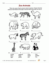 Zoo Animals Printable (K - 2nd Grade) - TeacherVision