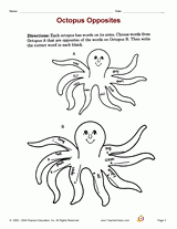 Octopus Opposites