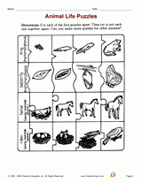 Animal Life Puzzles