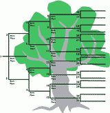 Family Tree