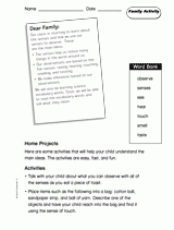 The Senses: Family Activity