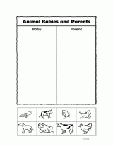 Animal Babies and Parents