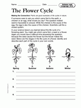 Science and Language Arts: The Flower Cycle