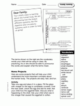 The Digestive, Circulatory, and Nervous Systems: Family Activity
