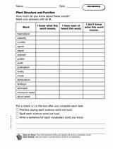 Plant Structure and Function: Vocabulary