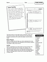 Respiration and Excretion: Family Activity