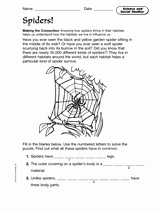 Science and Social Studies: Spiders
