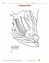Tropical Fish Color by Number