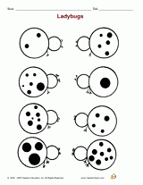 Ladybugs