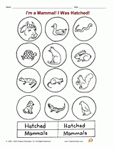 I'm a Mammal! I Was Hatched!