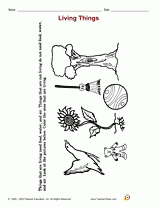 Living Things