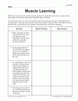 Muscle Learning