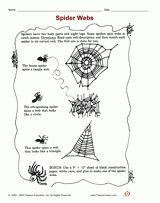 Spider Webs