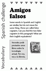 Spanish Vocabulary Challenge: False Cognates