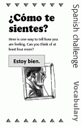 Spanish Vocabulary Challenge: Feelings