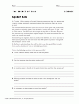 Spider Silk