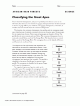Classifying the Great Apes