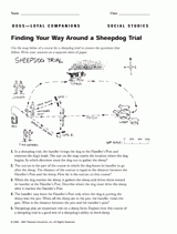 Finding Your Way Around a Sheepdog Trial