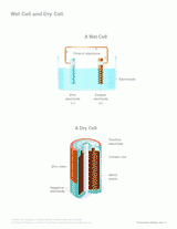 Wet Cell and Dry Cell