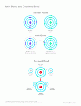 Ionic Bond and Covalent Bond