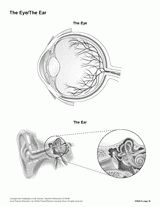 The Eye and the Ear (Blank) Printable