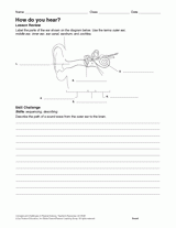 How Do You Hear? (Label and Summarize)