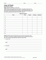 Activity: Uses of Plants