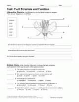 Life Science Test: Plant Structure and Function