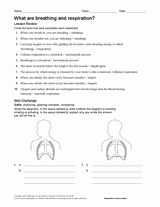 What Are Breathing and Respiration?
