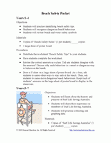 Beach Safety Lessons & Activity Packet