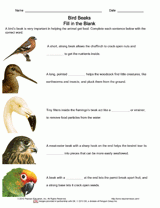 Adaptations: Bird Beaks Fill in the Blank & Vocab Flashcards