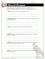 Adaptations: Bird Beaks Word Power