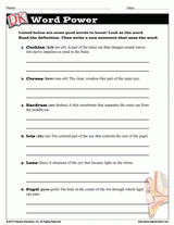 Sense Organs: Eyes and Ears Word Power