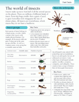 The World of Insects