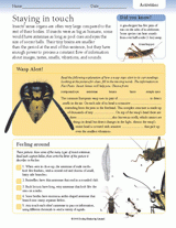 Insect Activities: Staying in Touch