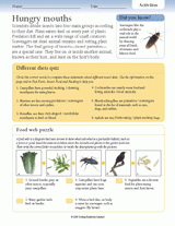 Insect Activities: Hungry Mouths
