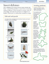 Insect Defenses
