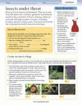 Insects Under Threat
