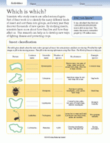 Insect Activities: Which is Which?