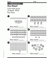 How Many Objects?