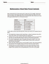 Mathematics: Giant Rainforest Animals