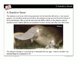Meet the Mammals Mini-Lesson -- Powerpoint Slideshow