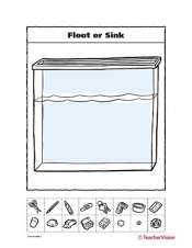 Float or Sink: Gravity and Bouyancy Activity