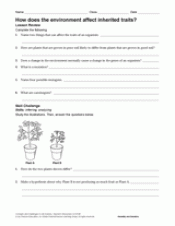 How Does the Environment Affect Inherited Traits? Printable (6th ...